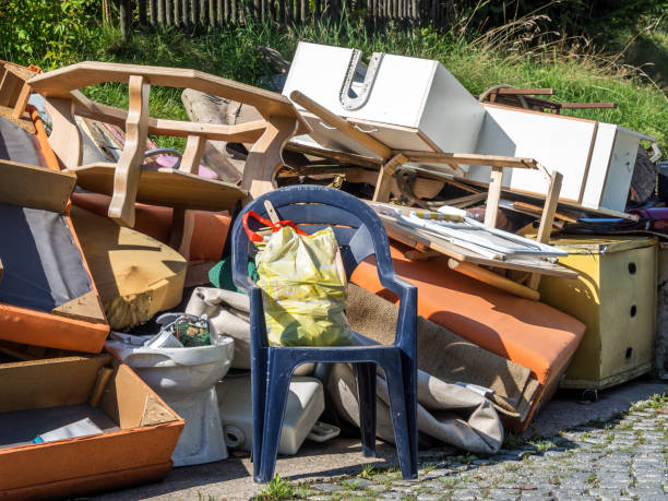 Professional Junk Removal in Alamosa East, CO