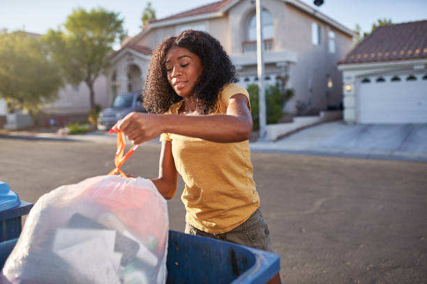 Yard Cleanup Services in Alamosa East, CO